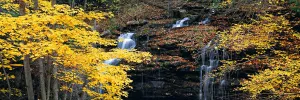 Autumn Terrace