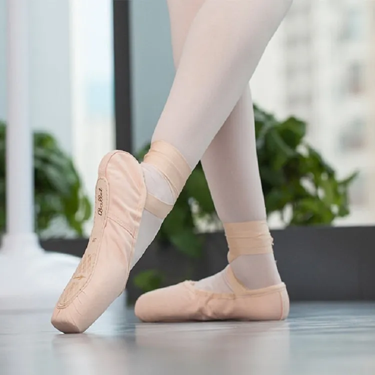 Ballet Lace Pointe Shoes Professional Flat Dance Shoes, Size: 40(Canvas   Silicone Case)