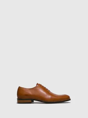 Brown Classic Shoes