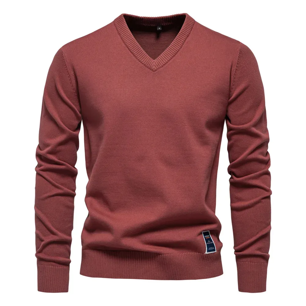 Classic V-neck men's sweater with subtle label detail