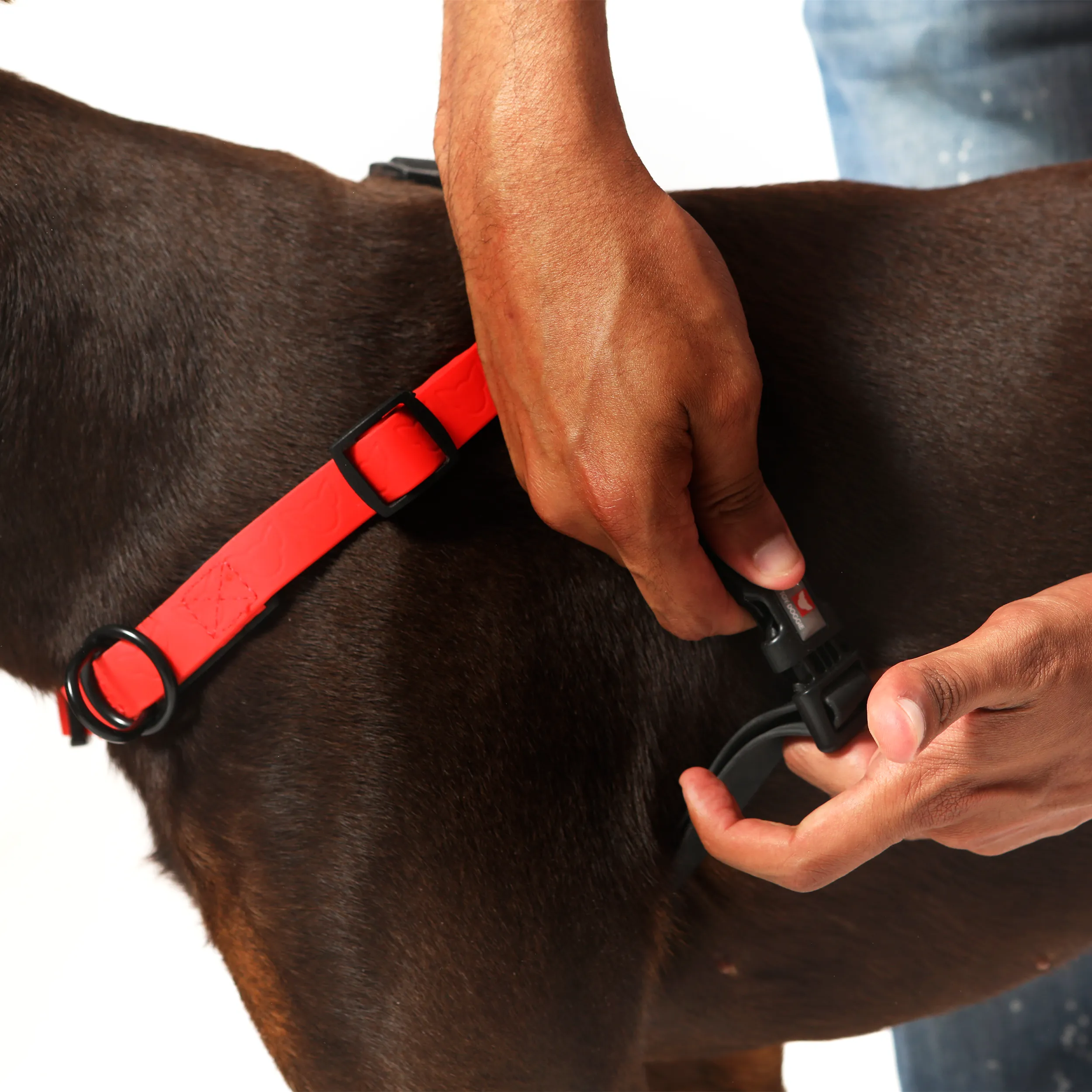 GENTLE WALK TRAINING DOG HARNESS