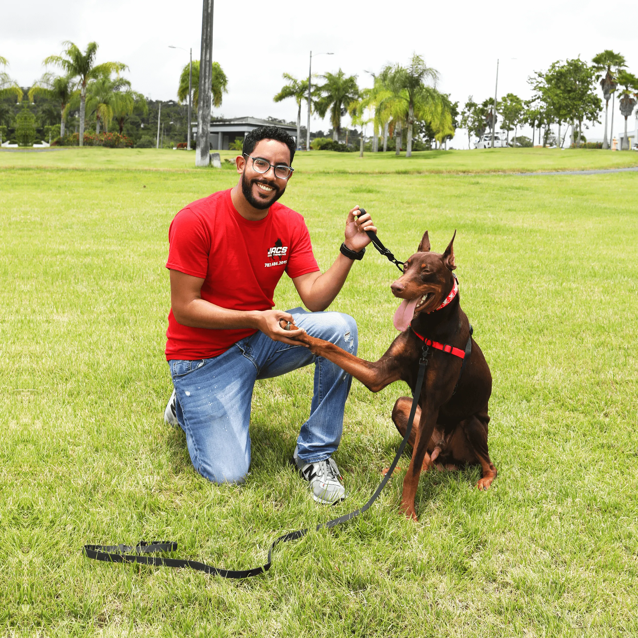 GENTLE WALK TRAINING DOG HARNESS