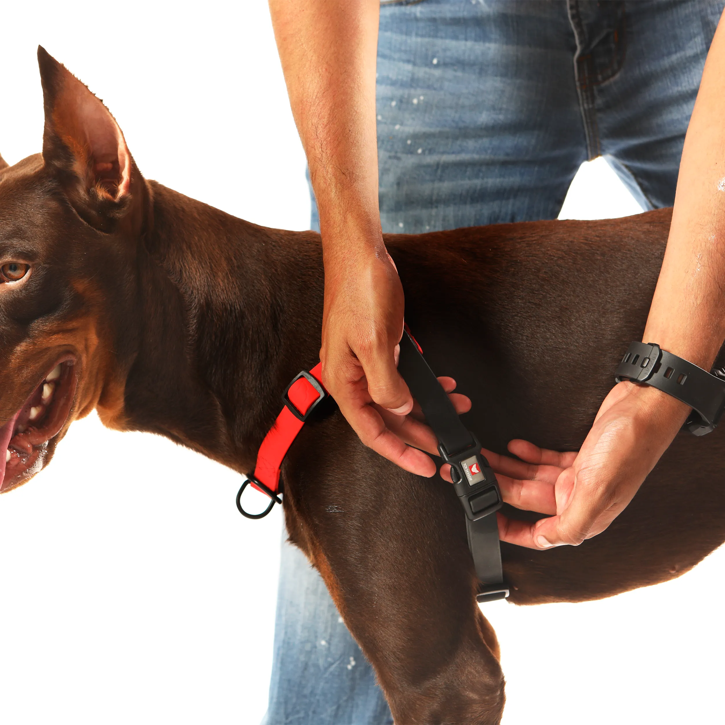 GENTLE WALK TRAINING DOG HARNESS