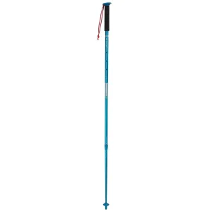 Hiking Pole Arpenaz 100