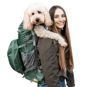 K9 Sports Sack | Big Kolossus Dog Backpack | 3 Sizes | Myrtel Green