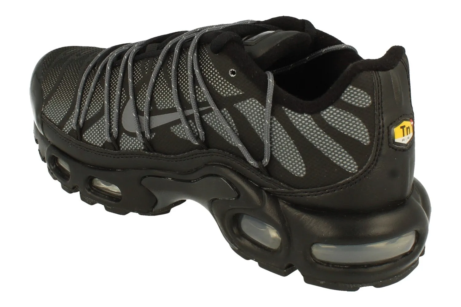 Nike Air Max Plus Lace Flh Womens Trainers FZ2770 001