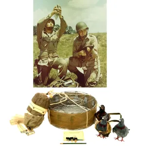 Original U.S. WWII Airborne Parachute Pigeon Cage Drop Cage Basket with Parachute and Accessories